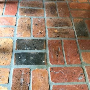 Meet your Posher, Ashlyn